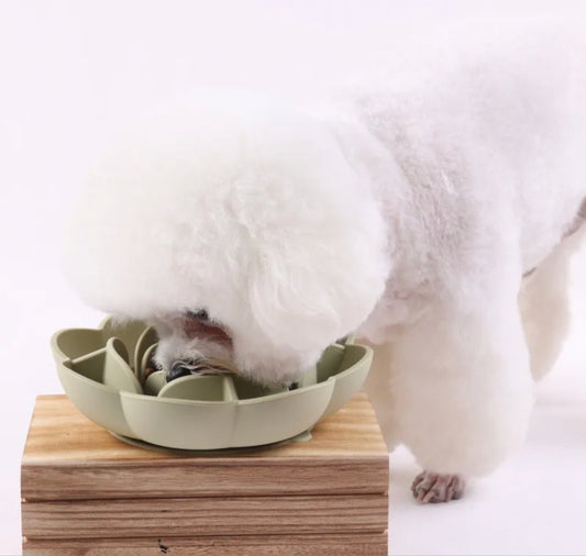 Soothing Flower Green Dog Slow Eating Bowl for Mental Engagement - malibudjango