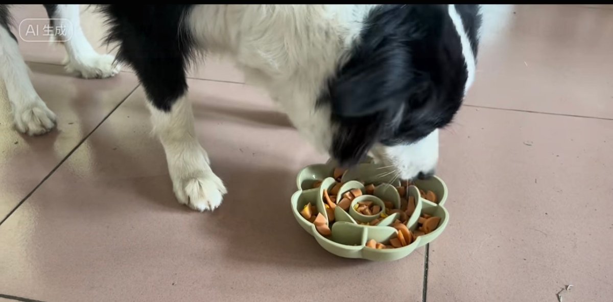 Soothing Flower Green Dog Slow Eating Bowl for Mental Engagement - malibudjango